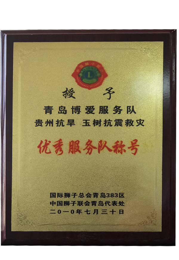 榮譽(yù)資質(zhì)標(biāo)題十
